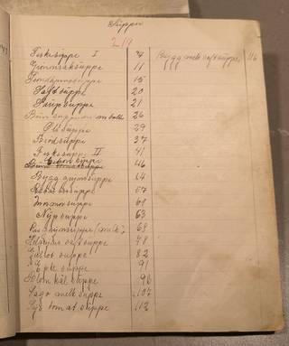 Side 219
