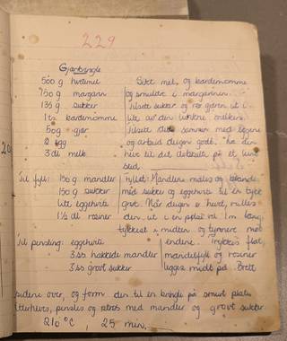 Side 229