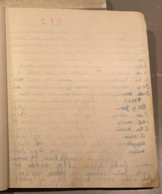 Side 235