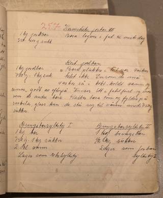 Side 257