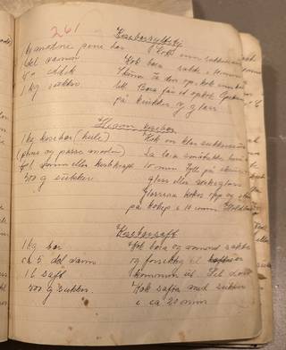 Side 261
